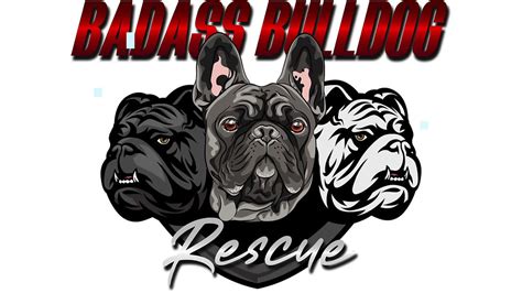 badass bully rescue|Badass Bulldog Rescue.